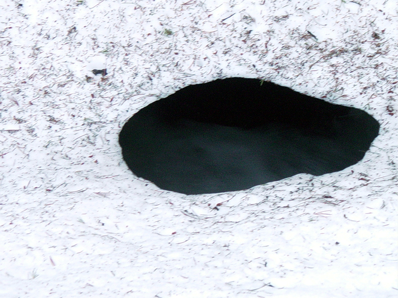 hole